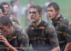 John Beach Photography : 2012, Cornwall RFU, County Championship, Somerset RFU, Under 20's